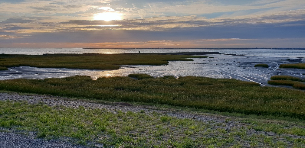 Uitzicht op de schelde