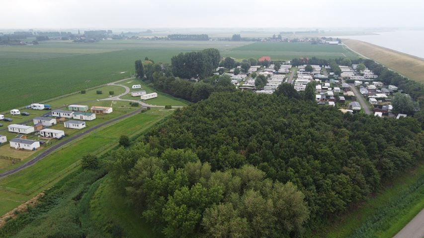 c12
