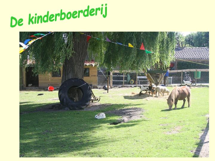 kinderboerderij 1