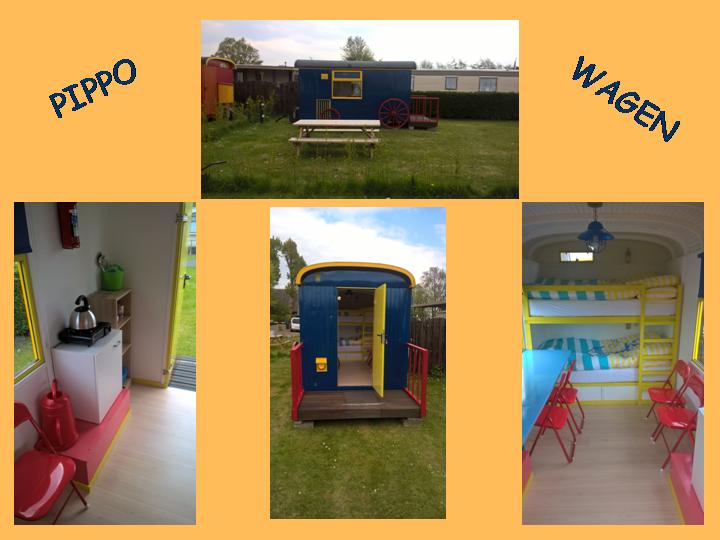 pippo blauw