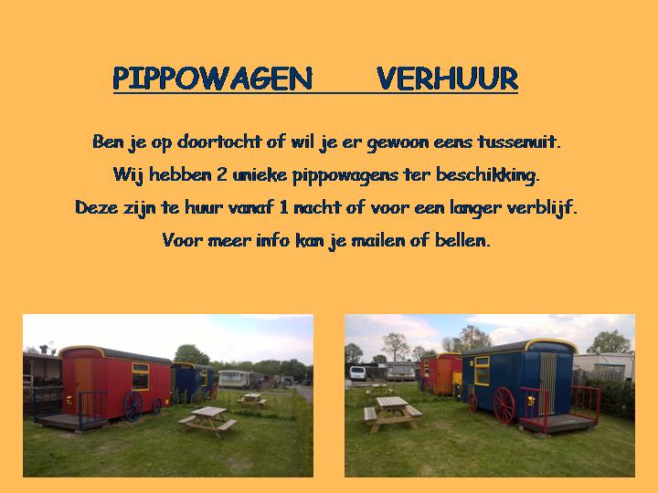 pippo info